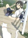  bag bike_shorts black_hair cat glasses grass green_eyes happy morifumi original school_uniform sitting sitting_on_stairs skirt solo stairs too_many too_many_cats 