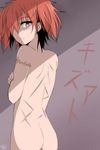  2014 akuma_no_riddle artist_name ass back highres ichinose_haru kago-tan looking_back nude obvious pink_eyes red_hair scar short_hair solo translated twintails 