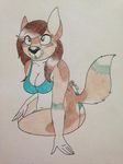  blush bra canine chub female fennec fox kay mammal thong traditional_media underwear 