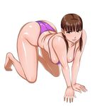  all_fours back bangs barefoot bikini blush breasts brown_eyes brown_hair full_body hanging_breasts highres large_breasts lips looking_at_viewer matoyama original plump purple_bikini simple_background solo swimsuit twintails v_arms white_background 