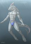  abs anthro barefoot biceps bulge claws clothed clothing dreiker dreiker_(character) fin fish green_eyes grey_skin half-dressed looking_at_viewer male marine muscles pecs shark sharp_claws solo speedo swimming swimsuit toe_claws toned topless underwater water 
