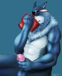  abs anthro balls biceps big_muscles blue_background blue_fur blue_penis canine digimon erection eyes_closed fur grasp humanoid_penis machgaogamon male mammal manly masturbation muscles musk nude nuroi pecs penis plain_background pose raised_arm sitting sniffing solo toned white_fur wolf 