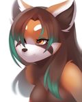  brown_hair bust female hair kanel long_hair mammal nipples nude plain_background red_panda solo vega white_background 