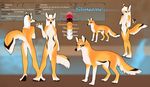  canine female feral fox fur hair looking_at_viewer mammal orange_fur orphen-sirius red_eyes shinome tan_fur white_hair 