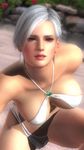  1girl 3d beach breasts christie_(doa) dead_or_alive dead_or_alive_5 large_breasts solo swimsuit tecmo white_hair 