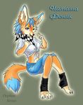  blue_eyes blue_fur blue_hair canine female fox fur hair legwear looking_at_viewer mammal open_mouth orange_fur orphen-sirius solo tan_fur toeless_socks 