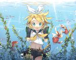 album_cover aqua_eyes blonde_hair bubble cover detached_sleeves fish fred04142 hair_ribbon kagamine_rin long_sleeves looking_at_viewer midriff navel neckerchief open_mouth ribbon shirt shorts solo underwater vocaloid wide_sleeves 
