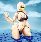  5_fingers anthro avian balls beak big_butt bird breasts bulge butt cloud dickgirl freckles_(artist) green_eye green_eyes intersex looking_at_viewer outside penis sky solo swan swimsuit thick_thighs voluptuous water white_feathers wide_hips 