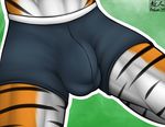  anthro aolun aolun_(artist) body_markings boxers bulge close-up clothing faceless_male feline fur male mammal markings stripes tiger underwear 