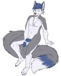  anthro black_nose blue_penis canine cum cum_on_feet cumshot fur hair holding_penis knot male mammal masturbation nude one_eye_closed orgasm penis penis_grab plain_background sambers short_hair solo tongue tongue_out white_background wolf yellow_eyes zarus195 