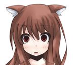  animal_ears bad_id bad_pixiv_id blush brown_hair face holo komaki long_hair red_eyes solo spice_and_wolf tears 