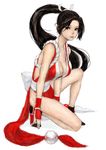  bad_id bad_pixiv_id black_eyes black_hair breasts cleavage fatal_fury large_breasts legs long_hair one_knee pelvic_curtain pon ponytail revealing_clothes rope shiranui_mai simple_background solo the_king_of_fighters 