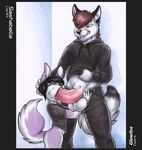  big_penis canine clothing cub dog duo erection fellatio fox gay glowfox husky hyper insertion large_insertion male mammal oral oral_sex penetration penis penis_out precum sasha sashabelle sethpup sex size_difference standing thick_thighs young 
