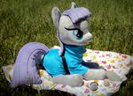  blanket blue_eyes boulder_(mlp) buttercupbabyppg clothing doll dress equine eyeshadow female friendship_is_magic grass hair horse lying makeup mammal maud_pie_(mlp) my_little_pony outside plushie pony purple_hair real rock solo 