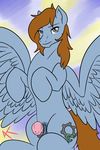  appelknekten equine feral horse horsecock male mammal my_little_pony original_character pegasus penis pony solo wings 