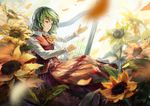  ascot blurry depth_of_field dress_shirt expressionless faux_traditional_media flower green_hair harp instrument kazami_yuuka long_sleeves md5_mismatch music playing_instrument red_eyes shirt short_hair shuang_ye solo sunflower touhou vest 