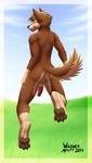  anthro anus back balls big_penis brown_fur butt canine dog fur looking_back male mammal nathan nude penis solo wagnermutt 