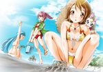  aino_megumi beach bikini blue_(happinesscharge_precure!) blue_eyes blue_hair blue_sky brown_hair bucket cloud day happinesscharge_precure! long_hair multiple_girls navel oomori_yuuko orange_eyes outdoors pink_eyes pink_hair ponytail precure rake ribbon_(happinesscharge_precure!) shirayuki_hime sky sogabe_toshinori squatting swimsuit 