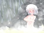  ahoge blush breasts covering covering_breasts dollain embarrassed highres inubashiri_momiji large_breasts looking_at_viewer nude onsen open_mouth outdoors red_eyes rock short_hair silver_hair solo steam touhou triangle_mouth 