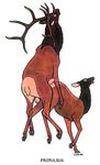  duo elk female feral feral_on_feral male mammal penetration straight tim_o&#039;rourke tim_o'rourke vaginal vaginal_penetration 
