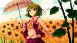  ascot bug butterfly flower green_hair insect kazami_yuuka nabisuke parasol plaid plaid_skirt plaid_vest red_eyes short_hair skirt solo sunflower touhou umbrella vest 