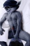  balls bed crappy edit erection fur male mammal nude oystercatcher7 penis photo_manipulation photomorph pinup pose raccoon sly_cooper sly_cooper_(series) solo 