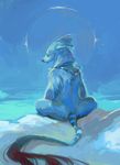  long_tail mammal moon necklace nude ophryon sad sitting sky snow solo thoughtful wolf 