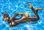  anthro barefoot black_body black_skin breast_grab breasts canine doberman dog female floating hairless hayln inflatable looking_at_viewer mammal markings naughty_face nipples nude paws pink_pawpads pinup pose red_eyes redflare500 rubber shiny side_view socks_(marking) solo vinyl water wet 
