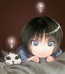  :3 amagami bed_sheet black_hair cat closed_mouth face grey_eyes idea light_bulb messy_hair short_hair simple_background solo tachibana_miya tamon_ketsuyuki v-shaped_eyebrows 