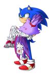  blaze_the_cat cat green_eyes hedgehog hurt injury sonic sonic_the_hedgehog 