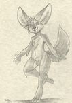  balls canine fennec fox male mammal nude pmoss sheath sketch solo 