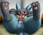  balls black_fur blue_fur blush butt feral fur hindpaw looking_at_viewer lucario male nintendo paws penis pok&#233;mon pok&eacute;mon red_eyes redimplight solo spreading video_games 