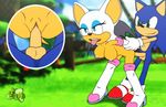  anthro balls bat big_breasts breasts female hedgehog male mammal nipples nude penis pussy rouge_the_bat sega sex sfan sonic_(series) sonic_the_hedgehog straight video_games 