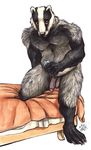  anthro badger balls bed biceps black_fur blanket blotch claws desmont1590 flaccid fur grey_body grey_fur humanoid_penis looking_at_viewer lube male mammal mustelid nude orange_sclera penis sheets solo toe_claws white_fur 