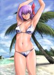  armpits arms_up ayane_(doa) beach bikini cloud day dead_or_alive outdoors palm_tree shiny shiny_clothes shiny_skin shu-z sky solo swimsuit tree water 