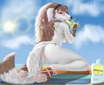  anklet banana beach bikini brown_hair butt canine dog female fruit hair hindpaw innuendo invalid_tag looking_back lotion mammal mindrain pawpads paws seaside silken_windhound solo sun swimsuit teasing veronica 