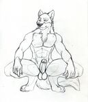  abs anthro anthrofied balls barefoot black_and_white black_nose canine claws crouching digitigrade erection front fur humanoid_penis male mammal monochrome muscles nude paws pecs penis plain_background pose presenting presenting_penis sitting sketch solo spacecadet spread_legs spreading taku_(character) white_background wolf 