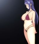  blue_hair breasts huge_breasts lingerie maken-ki! nijou_aki underwear 
