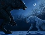  black_fur blood canine clenched_teeth duo fangs feral fight forest fur mammal moon myenia night outside sand sky snow teeth tree were werewolf white_fur wolf wounded yellow_eyes 