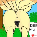 2019 anal animal_genitalia animal_pussy anus butt canid canine canine_pussy dialogue digital_media_(artwork) elpis english_text female feral fox fur mammal ninetales nintendo nude pixel_(artwork) pok&eacute;mon pok&eacute;mon_(species) pussy simple_background solo standing text vaginal video_games voidfox 