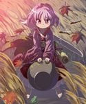  barefoot blush_stickers bug dragonfly frog grass headwear_removed highres insect japanese_clothes kimono leaf mallet minigirl needle purple_eyes purple_hair shope smile sukuna_shinmyoumaru touhou wide_sleeves 