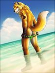  abs anthro beach biceps big_muscles canine dream_and_nightmare fox jcfox looking_at_viewer male mammal mooning muscles pecs seaside sky smile summer water wet 