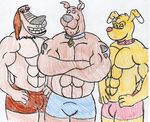  dog dooky group huskie_love mammal muscle_dooky muscle_scoobydoo scoobydoo 