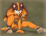  angry anthro badger boomerang breasts butt clothed clothing exposed female footwear fur hair hi_res in_mouth long_hair mammal multi-colored_hair mustelid necklace object_in_mouth presenting presenting_pussy pussy pussy_juice sega sharp_teeth shoes skirt solo sonic_(series) sonic_boom spread_legs spreading sticks_the_jungle_badger teeth zraxi 