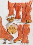  boca foot_focus hindpaw paws plain_background practice size_difference sketch toes traditional_media white_background 