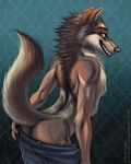  blue_background brown_fur butt canine clothing fur ironfur looking_at_viewer looking_back male mammal pants pants_down plain_background shinigamigirl solo topless undressing wolf 