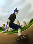  birds blue_fur canine city clothing denim_shorts detailed fur landscape male mammal mytigertail red_eyes shirt shoes shorts skateboard sky solo tattoo white_fur wolf 