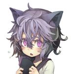  animal_ears black_bullet cat_ears fang fuse_midori grey_hair looking_at_viewer morino_hon open_mouth purple_eyes solo upper_body 