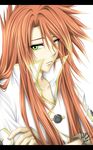  green_eyes kid long_hair luke_fon_fabre male male_focus red_hair redhead tales_of_(series) tales_of_the_abyss 