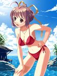  azuma_reiharu beach bikini brown_eyes brown_hair day hand_on_hip leaning_forward original outdoors solo swimsuit 